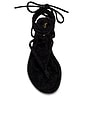 view 4 of 5 Wander The World Sandal in Black Suede