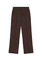 view 6 of 5 Show Trouser in Brown