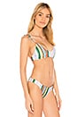 view 2 of 4 Siesta Bikini Top in Lively Up