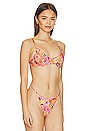 view 2 of 4 Conch Bikini Top in Retro Pop