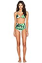 view 4 of 4 Hanalei Bikini Top in Banana Leaf
