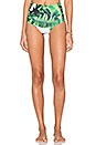 view 1 of 4 Talia Bikini Bottom in Banana Leaf