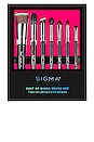 view 1 of 2 Best of Sigma Brush Set in 