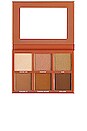 view 1 of 4 PALETA DE ILUMINADOR SCULPT PALETTE in 