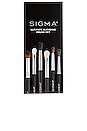 view 2 of 2 Ultimate Blending Brush Set in 