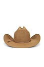 view 2 of 2 4x Longhorn Hat in Fawn