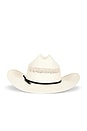 view 2 of 4 SOMBRERO in Ivory/black Ribbon