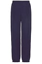 view 2 of 5 Athlete Nylon Pant in Navy