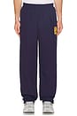 view 4 of 5 Athlete Nylon Pant in Navy