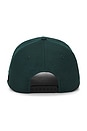 view 2 of 3 Tour Excursions Snap Back Hat in Pine