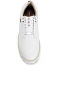 view 5 of 6 SNEAKERS PAYNTR in White