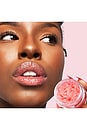 view 4 of 6 The Lip Essentials Discovery Set in 