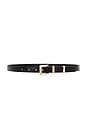 view 1 of 3 Classic Croc Embossed Belt in Black & Gold