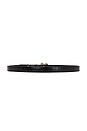 view 2 of 3 Classic Croc Embossed Belt in Black & Gold