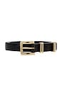 view 3 of 3 Classic Croc Embossed Belt in Black & Gold