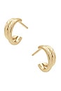 view 2 of 3 Katherine Hoop in Gold