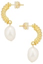 view 2 of 2 Cameron Pearl Drop Earring in Gold & Pearl