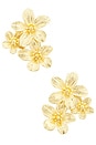view 1 of 2 BOTANIQUE 스터드 귀걸이 in Gold