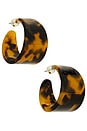 view 1 of 3 Kasumi Tortoise Hoop Earring in Tortoise
