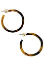 view 2 of 3 Kasumi Tortoise Hoop Earring in Tortoise