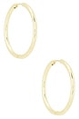 view 1 of 3 Essential Hoop Earrings in Gold