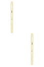 view 3 of 3 Essential Hoop Earrings in Gold