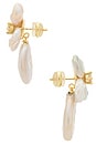 view 2 of 2 Fleur De Cleo Earring in Pearl