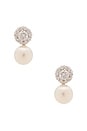 view 1 of 2 Halo Stud Pearl Drop Earring in Silver & Pearl