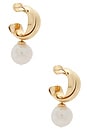 view 1 of 3 BOUCLES D'OREILLES ROSS in Gold