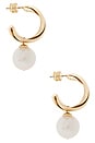 view 2 of 3 BOUCLES D'OREILLES ROSS in Gold
