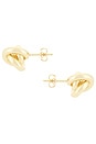 view 2 of 2 Knot Stud Earrings in Gold
