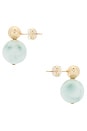 view 2 of 2 Stud Earrings in Turquoise