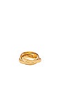 view 3 of 3 ANILLO LEAH in Gold