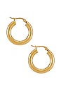 view 2 of 2 Dominique Hoop Earring in Gold