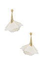 view 1 of 2 Florence Earrings in White