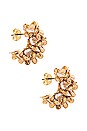 view 1 of 3 Solana Earring in Gold