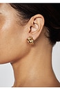 view 3 of 3 X Revolve Knot Earrings in Gold