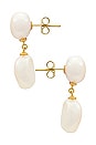 view 2 of 2 Pearl Drop Earring in Gold & Pearl