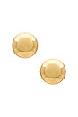 view 1 of 2 Paloma Stud Earrings in Gold