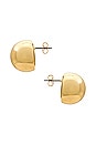 view 2 of 2 Paloma Stud Earrings in Gold