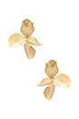view 1 of 2 Hyacinthe Earring in Gold