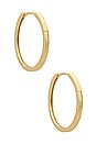 view 1 of 2 Timeless Hoops in Gold