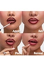 view 7 of 10 DELINEADOR DE LABIOS LIP LINER STAY-N PEEL OFF LIP LINER in Double Shot