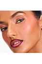 view 6 of 10 Lip Liner STAY-N Peel Off Lip Liner in Plumped
