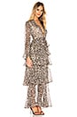 view 2 of 3 Mariposa Tiered Maxi Dress in Leopard