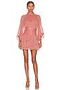 view 2 of 4 Olympia Long Sleeve Ruched Mini Dress in Antique Rose