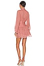 view 4 of 4 Olympia Long Sleeve Ruched Mini Dress in Antique Rose