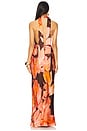 view 3 of 3 Emerson Halter Neck Maxi Dress in Palmero Floral
