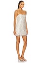 view 2 of 4 Asteri Mini Dress in Silver