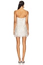 view 3 of 4 Asteri Mini Dress in Silver